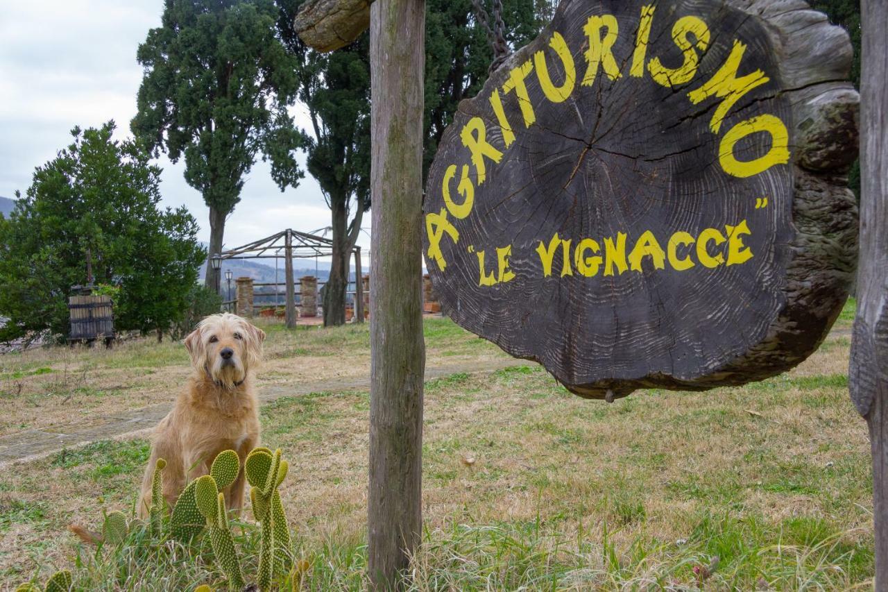 Agriturismo Le Vignacce Villa ซานตาลูเช ภายนอก รูปภาพ