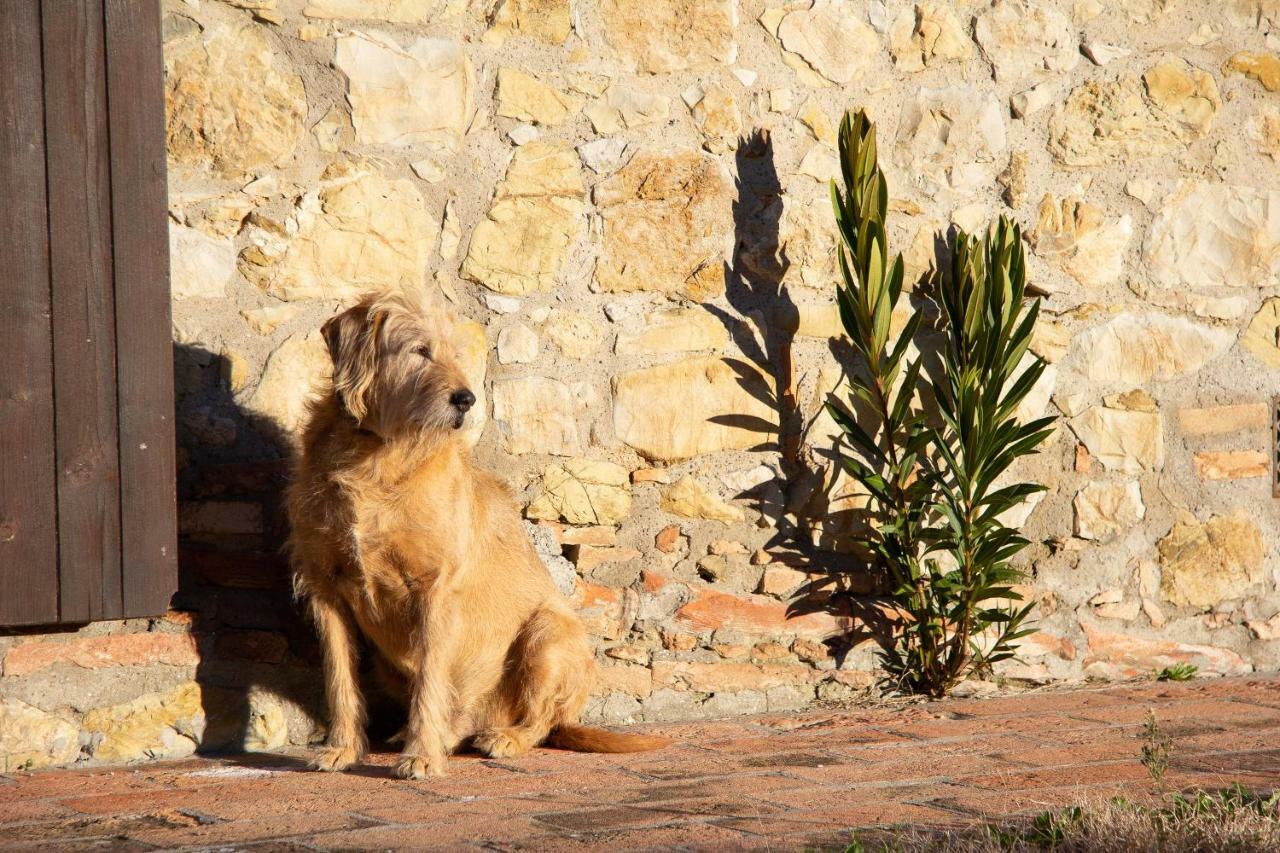 Agriturismo Le Vignacce Villa ซานตาลูเช ภายนอก รูปภาพ